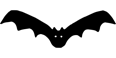 Picture of bat flying.